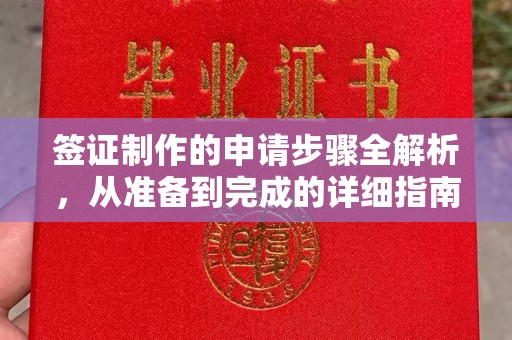 微山签证制作的申请步骤全解析，从准备到完成的详细指南
