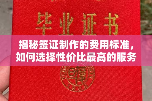 微山揭秘签证制作的费用标准，如何选择性价比最高的服务？