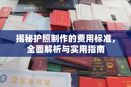 微山揭秘护照制作的费用标准，全面解析与实用指南